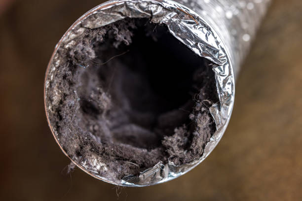 Best Air Duct Sanitizing Services  in Wayne City, IL