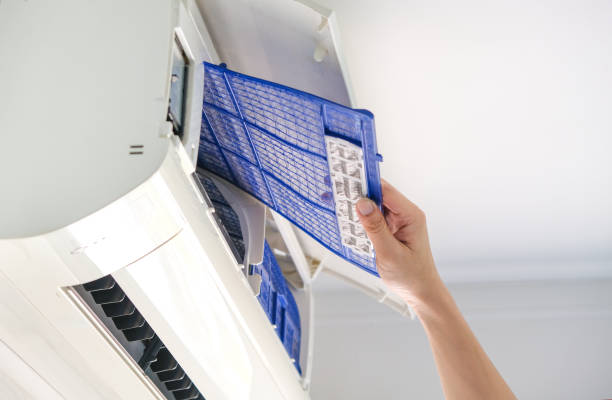 Best Duct Cleaning Specialists  in Wayne City, IL