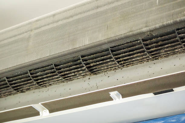Best Air Vent Cleaning Services  in Wayne City, IL