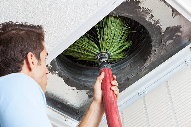 Best Local Air Duct Cleaning Services  in Wayne City, IL